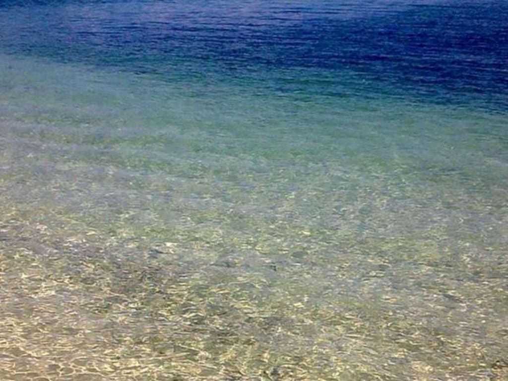 IMG-20221128-WA0037
